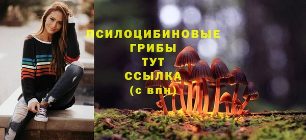 бутират Беломорск