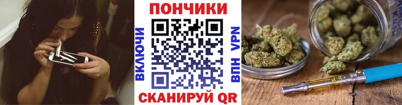 где купить наркотик  Сорск  Каннабис индика 
